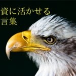 アイ株式スクールの投資の名言集から獲物を狙う鷹